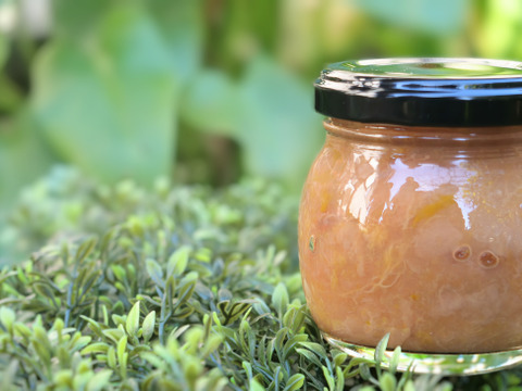 専門家監修！新発売「ももミルクぷりん」入り桃尽くしセット<解凍レベルも楽しめます>