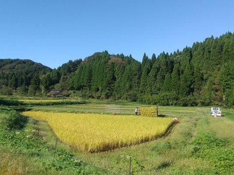 【令和3年度収穫】 のと自然栽培米 日本晴れ 玄米5キロ