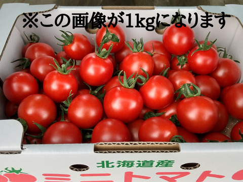 【7/22まで200円OFF】北海道産ミニトマト【エコスイート】1kg