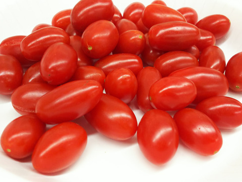【朝市限定】さくらんぼのような秋のミニトマト【桃川農園のフルーツプチ】（２kg）
