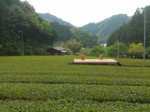 和紅茶ティーバッグ5種セット 訳あり特別値引き商品 賞味期限 静岡県産 食べチョク 農家 漁師の産直ネット通販 旬の食材を生産者直送