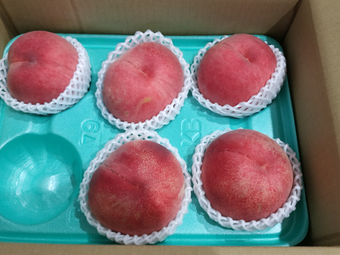 『夏ギフト』なつっこ🍑高糖度で硬めの桃✨朝採りその日に発送します
