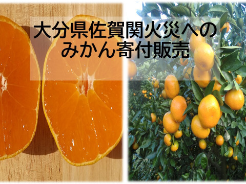 【全額寄付販売 大分県佐賀関火災】温州ミカン慣行栽培　【農薬使用】早生みかん5キロ