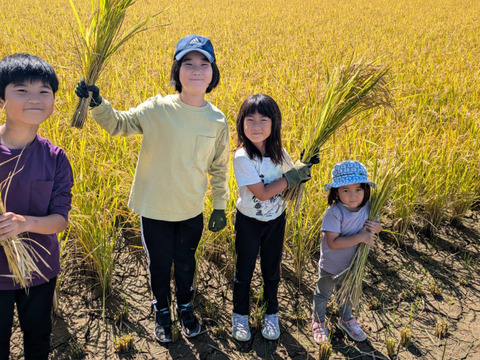 【令和7年新米】森のくまさん（白米5kg）節減対象農薬 ：栽培期間中不使用