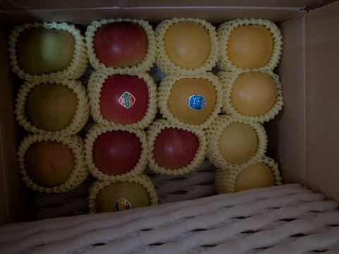 まるごとガブリっ！小玉・食べきりサイズMIXりんご【岩手奥州市江刺産】              小玉おまかせミックス3kg