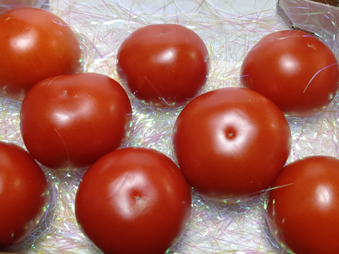 太陽いっぱい完熟トマト(約1kg）