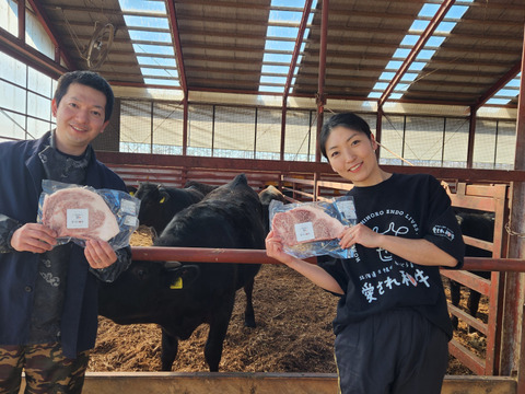 A5ランク！北海道十勝産黒毛和牛100％　「ハンバーグ」150ｇ×５個セット