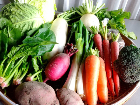 おまかせ野菜セット‼️100サイズの箱でお届け