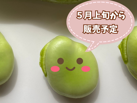 【自然栽培・自家採種🍀朝採りそら豆（さや付）】500g 15本前後・青臭くなく大粒で甘〜い！😋