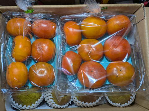 訳あり果物セット