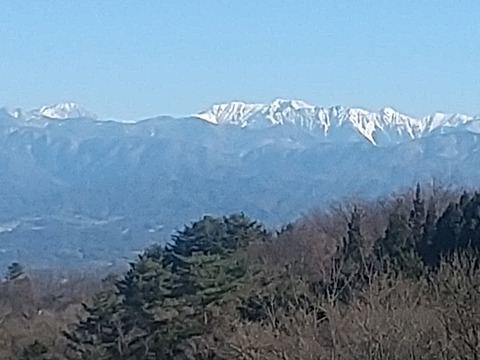 南信州特産・市田柿、お買い得たっぷり１Kg入り袋