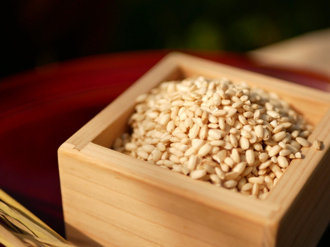 2023年新米！【自然栽培のお米】お餅をするなら、日本で一番のもち米「羽二重糯はぶたえもち」3kg（2升）★玄米・白米・５分づき米選べます★