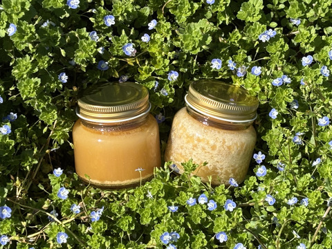 Unzen Pure Honey【にほんみつばちのはちみつ】