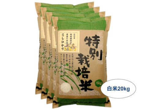 【白米20kg】信州産 農薬不使用米 こしひかり (5kg×4袋) 令和2年産