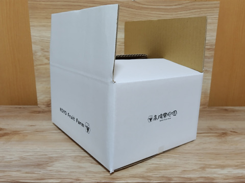 朝採れ新鮮！ナガノパープル（ご家庭用：２房・約１ｋｇ）