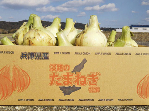大人気 七宝秀品10kg 淡路島南あわじ産 新たまねぎ M L｜Yahoo