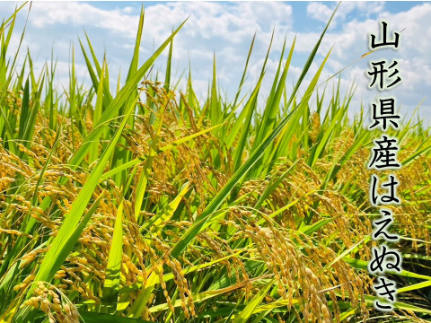 【令和7年新米】★山形県産はえぬき約10kg精米★