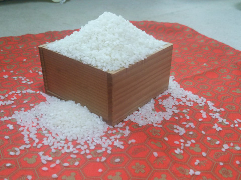 【味に自信あり】もっちもちのミルキー舞（5㎏）令和3年産