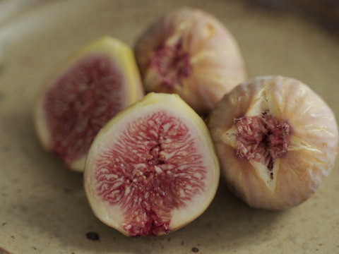 美容効果抜群！『はざまいちじく』(12個入り)