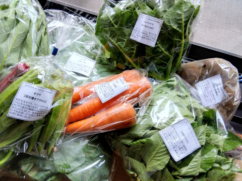 採れたて！季節の野菜セットSサイズ(固定種野菜・農薬不使用)