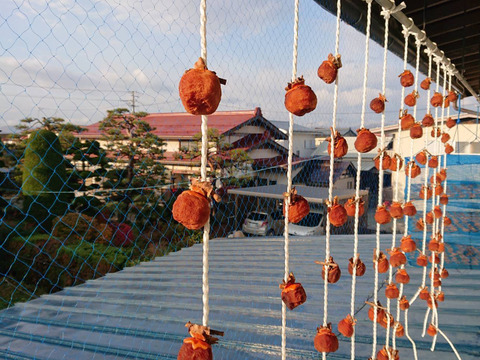 【20セット限定】【自然栽培】干し柿作りセット【作り方付き】