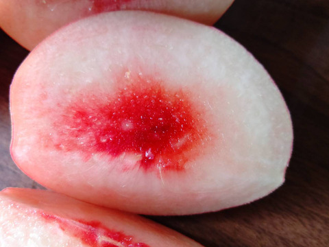 数量限定！旬の桃おまかせ🍑桃食べ比べセット2kg ※9～10月発送