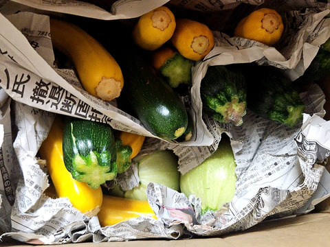 訳あり 長野 軽井沢産高原野菜 サイズ混合4kg 新鮮 ズッキーニ セット