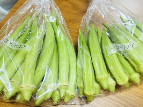 【朝どれ】オクラ 2〜4品種セット1kg【栽培期間中　化学肥料化学農薬不使用】