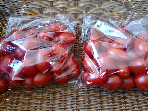 ★数量限定★旨味あふれる化学農薬不使用クッキングトマト2.5kg