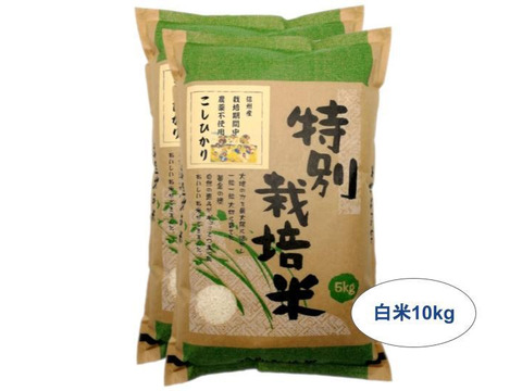 【白米10kg】信州産 農薬不使用米 こしひかり【受注精米】(5kg×2袋) 令和2年産