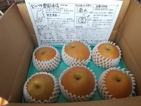 令和7年9月発送【予約】梨 南水 良品　3kg 長野県産　大好評‼️