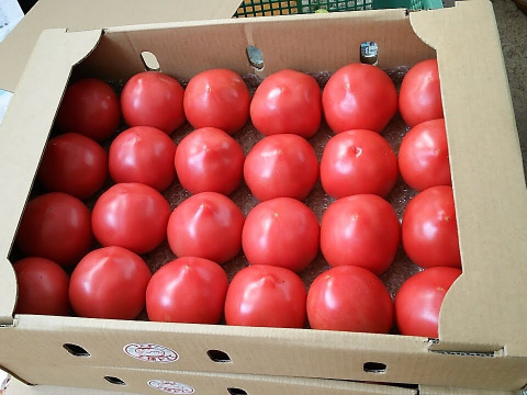 有機質ボカシ肥料で作った完熟トマト　4kg　24玉〜32玉入り