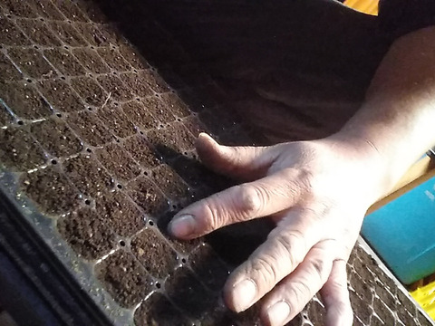 吉原ファームのわがままセット