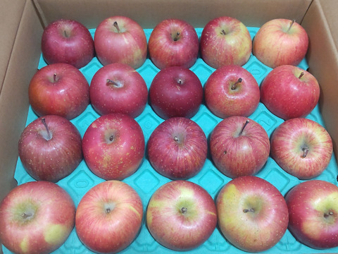 【販売中！人気商品】青森県産りんご「サンふじ」家庭用 キズ有 約10kg(5kg×2箱) 【美味・光センサー選果済】