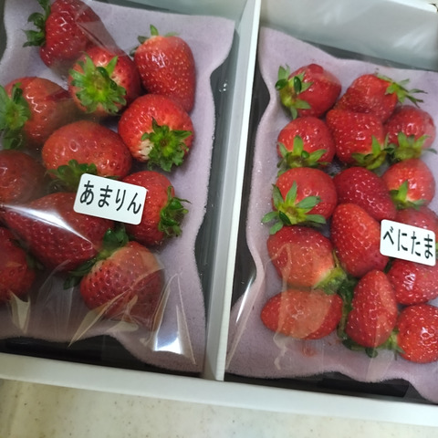 あまりん・べにたま】食べ比べ2パック(500g)🍓：埼玉県産のあまりん