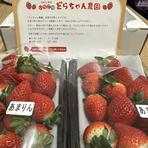 希少あまりん】2パック(500g) 朝採れ🍓：埼玉県産のあまりん｜食べ