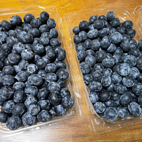 ≪生食用≫《自然栽培》完熟ブルーベリー500g ハイブッシュ系：埼玉県