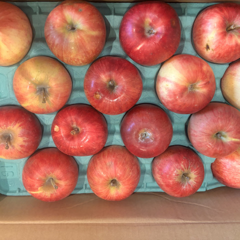 信州りんご🍎C品8キロ：長野県のレビュー｜食べチョク｜産地直送(産直
