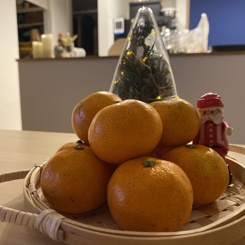 小玉/2kg】化学農薬不使用！幻のブランド”高根島みかん”！島の旨味が