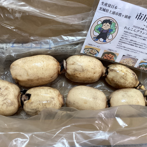 2022年・2023年 2連覇！れんこんグランプリ 最優秀賞 受賞！ 2キロ