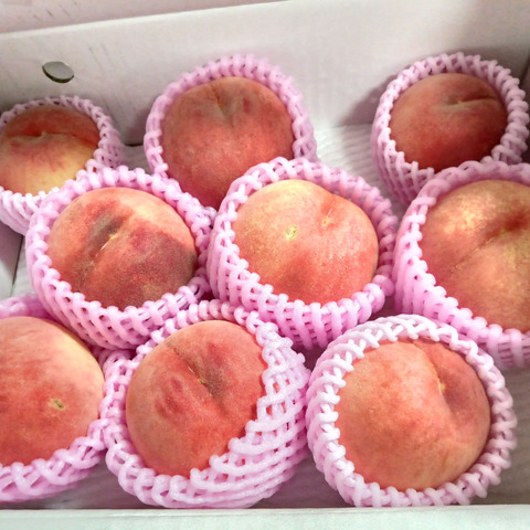 夏ギフト 【超新鮮桃】3kg 8～14玉【ASIAGAP認証農場：津軽農園】安心
