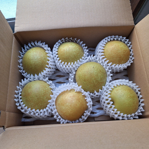 新品種！！甘太梨3kg(6～9玉入り)：鳥取県産の甘太｜食べチョク｜産地