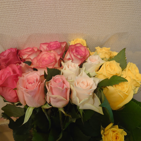 クール便分お値引き中 おうち時間を華やかに ハウスからお届け 厳選バラ１５本セット 静岡県のレビュー一覧 食べチョク 農家 漁師の産直ネット通販 旬の食材を生産者直送