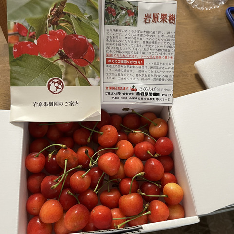 さんらんぼ 先行予約】大玉で高糖度！さくらんぼ 2～3L バラ 約350g：山梨県