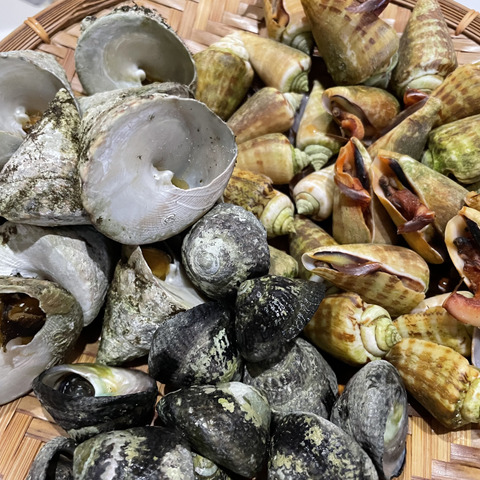 袋のまま冷凍のままレンジでチン】三種お特盛‼ 素潜り漁師厳選