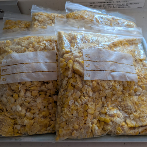 🌽【朝採れ・農家直送】訳あり 長野県産 甘々娘 15〜20本 クール便発送