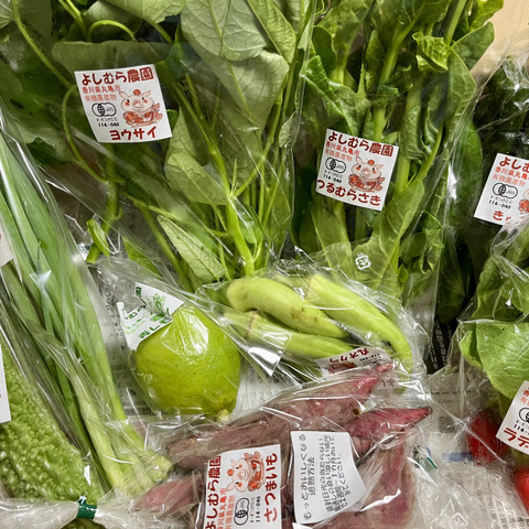 楽天市場 | ムラタ青果店 - 県産の新鮮野菜を取り扱っている