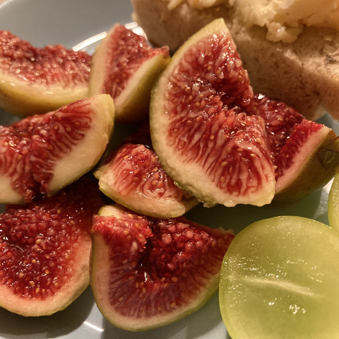 自然栽培のイチジク ブリジアソットグリース 福島県のレビュー一覧 食べチョク 産地直送 産直 お取り寄せ通販 農家 漁師から旬の食材を直送