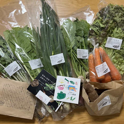 Amazon.co.jp: 朝どれ 旬の冬野菜 簡単【 鍋野菜 セット 】産み