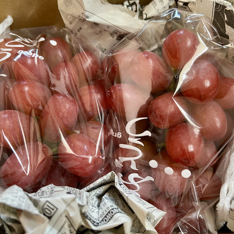 訳あり3】クイーンルージュ®︎2房セット(合計約1kg)長野県限定品種